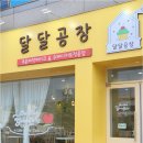 카페 속초 이미지