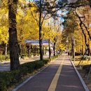 인천광역시 인재개발원 체육관 | 수원 도교육하는장소 경기도인재개발원 투어 산책길추천