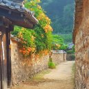 돌담길