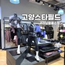 알파행신 | 고양스타필드 러닝용품 추천 스타필드 입점 브랜드 러닝템 추천