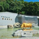 월영동217 | 창원 여행 가볼만한곳!! 돝섬부터 진해 핫플, 숙소까지