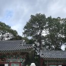 천은사 - 1349 | 천은사