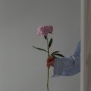 오엔이뷰티