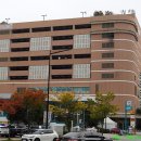 가로수약국 이미지