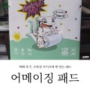 어메이징펫 | 크레스티드 게코 바닥재 두렙 어메이징 패드 3030 내돈내산 구매 및 사용후기 │ 간편한 바닥재 양서류...