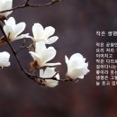 숨쉬는 행복 김선희의 오늘의 시 : 작은 생명 이미지