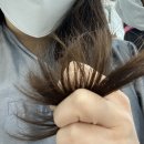 살롱원 - 군산시 | 살롱원