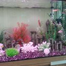 굿모닝유치원 이미지