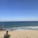 레일바이크 이미지