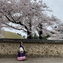 서라벌한복 이미지