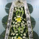 수원-0686 이미지