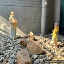 역사박물관 | 나주 아이와 가볼만한곳｜남도의병역사박물관 전시동 후기 (무료 실내관람, 아이도 집중 가능)