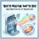 바울기술연구소