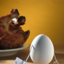 테리보더의 먹고+즐기고+ 사랑하라 | 구하우스미술관, '테리 보더의 벤트 아트_먹고 즐기고 사랑하라' 개최