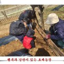 유영농장 이미지