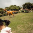 자동차랜드 이미지