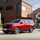 월드모델매니지먼트 이미지