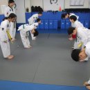 서래태권도 이미지