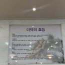 정식마을 | 세종시 한솔동 더덕구이 맛집, 숙이네 더덕마을 더덕정식 후기