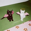 할리스 을지로입구점 | 70. 2025년 10월