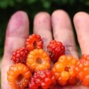 오로라가든 펜션 이미지