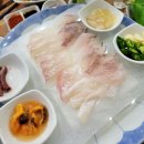 둔전회센터 | 다양한 스끼다시가 나오는 활어회 맛집 솔직후기 '둔전회센터'