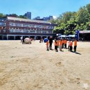 선원초등학교 - 3832 | 선원초등학교