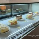 무선중앙로 | 대전 중앙로 카페 흐그이므자 강아지산도 케이크 이므자티 솔직후기