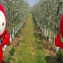 은성(201) 이미지