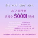 [W13] 대전 전문사회자 추천 내돈내산 계약후기｜정규성 사회자님 비용·선택 이유
