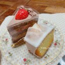 카페229 - 순천시 팔마로 229 | 카페229