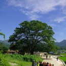 백운계곡둘레길 이미지