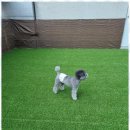 헬로우버디 이미지