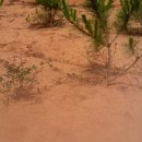 솔내음농장 이미지