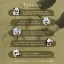 오구오구 펫살롱 이미지