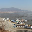 철새보러가는길 이미지