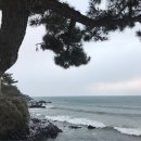 씨에스 호텔 이미지