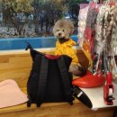 사랑해요동물병원 이미지