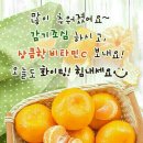 비타민 - 연제구 거제천로230번길 19 | 비타민