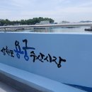 서진카서비스 | 경남여행 사천여행 삼천포 용궁수산시장 , 사천케이블카인근 점심