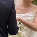 엘제이비 이미지