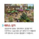 세종블루지움 이미지