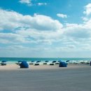 터미널카 이미지