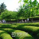 보성 이미지