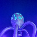 낙지공원 노을길야영장 무인카페 이미지