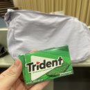 승현목장 이미지