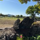 대정프라방 이미지