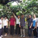 김영창 농장 이미지