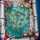 바닷길 풍경 | 태안해루질펜션 바다와 함께하는 기억에 남는 펜션 체험 후기