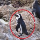 동그라미PC 이미지